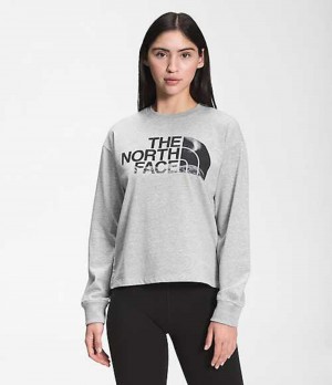 The North Face Recycled Expedition Tryck Sweatshirt Dam Ljusgrå | 9120374-KO